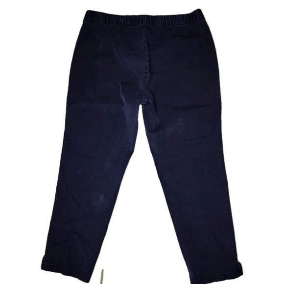 Eileen Fisher Womens Size M Stretch Pull On Blue Pant Crop Pants Preppy Beachy - Picture 9 of 9